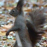 Ольга Шелк, 30.11, Минск