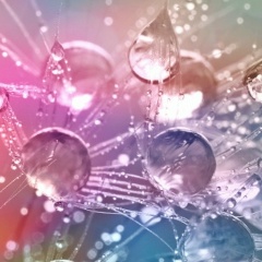 Вова Шаломов, 14.09.1993, Москва