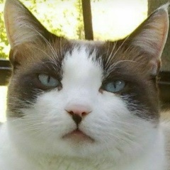 Михаил Барсуков, 27.10.1986, Усть-Каменогорск