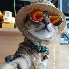 Петр Майсигов, 28.12.1994, Волгоград