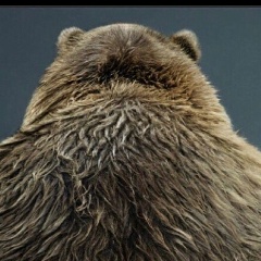 Иван Сергеевич, 03.10.1989, Самара