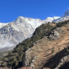 Сабит Отегенов, 07.03.1987, Шымкент