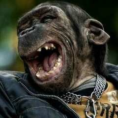 Дмитрий Суворов, 01.11.1986, Оренбург