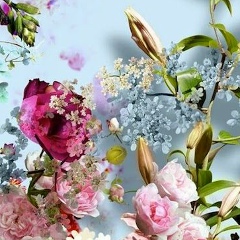 Динара Дулатова, Санкт-Петербург