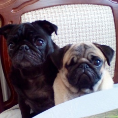 Елена Гаврилина, 21.01