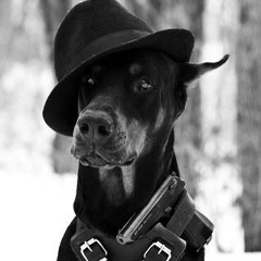 Лиля Брагар, 29.04, Веселиново