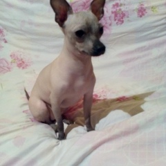 Надежда Корж, 24.03.1963, Киев