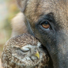 Александр Ерафонов, 28.04.1977, Казань