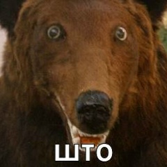 Юрий Мусиенко, 10.10.1985, Владивосток