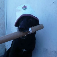 Gabriel Carvalho, 05.08.1902, Rio de Janeiro