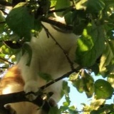 Наташка , 02.01