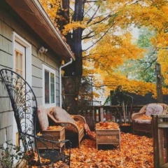 Татьяна Паршина