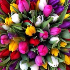 Венера Зарипова, 12.01, Зеленодольск