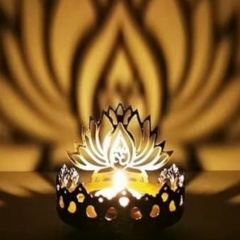 Ростислав Колпаков-Маликов-Васичкин-Якимов, Санкт-Петербург