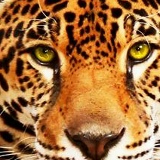 Никита Халов, Караганда