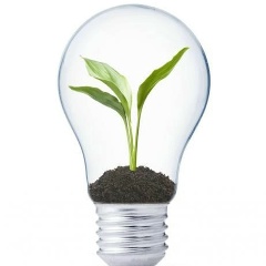 Denis Arzhanykh, 12.01.1983, Таллин