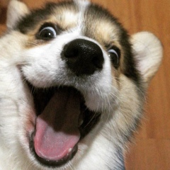 Сергей Полюхов, 18.08.1985, Москва