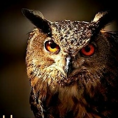 Aleksandr Sanches, 25.04, Вентспилс