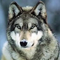 Бекзат Досмагулов, 03.02, Талдыкорган