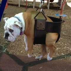 Николай Троцюк, 16.01.1921, Киев