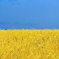 Ірина Парасюк, Львов