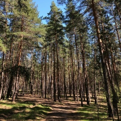 Artemii G, 26.08.1988, Самара