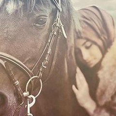 Айна Ами, 04.01.1987