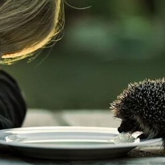 Айжан Нурмагамбетова, 23.07.1984, Алматы