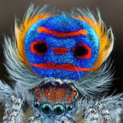 Дмитрий Иванов, 30.06.1962, Санкт-Петербург