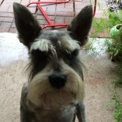 Сергей Сергеев, 28.11.1986, Липецк