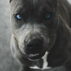 Виктория Легенькая, 16.01, Киев