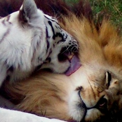 Евгения Ш, 10.03