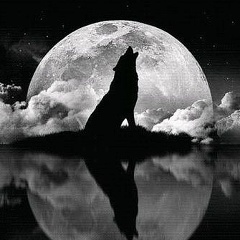 Надир Аливапов, Керчь