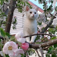 Татьяна Родионова-смирнова, 03.01.1971, Чебоксары