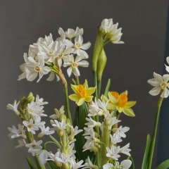 Дарья Мыщак, Санкт-Петербург