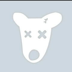 Вадим Пьянин, Подольск