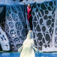 Марина Еникеева, 18.08, San Diego