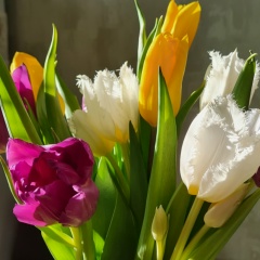 Вера Хозяинова, 20.05