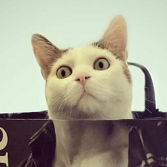 Александр Печкуров, 13.04