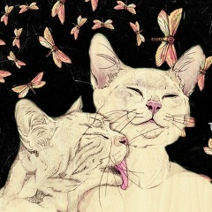 Юлия Снижко, 11.01