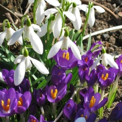 Виктория Мурашёва, 08.12, Москва