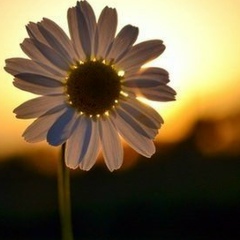 Эльмирка Бакеева, 02.03, Москва