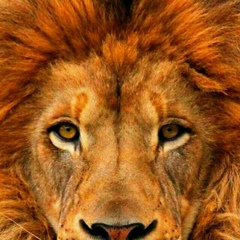 Алексей Нерусов, 30.12, Санкт-Петербург