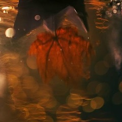 Анастасия Камилина, 20.07, Санкт-Петербург