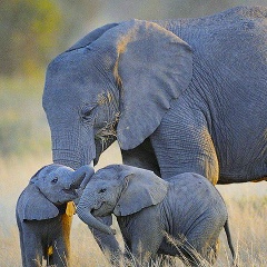 Екатерина Лемурская, 01.09