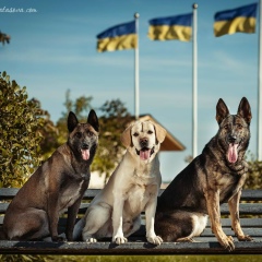 Вика Безус, 01.02, Кривой Рог