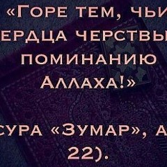 Арби Анзуров