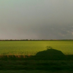 Марат Яфаров