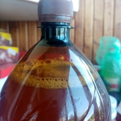 Вячеслав Старцев, 11.08, Калининград