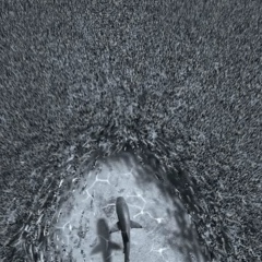 Иса Эдиев, 22.09.1999, Грозный